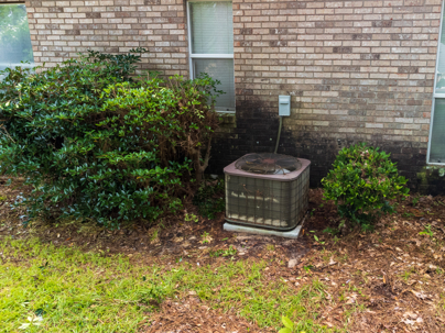outdoor AC unit crowded by overgrown bushes