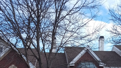 Home in Bedminster Photo