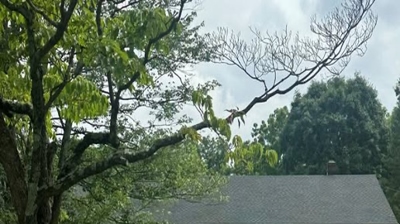 Home in Lebanon, NJ Photo