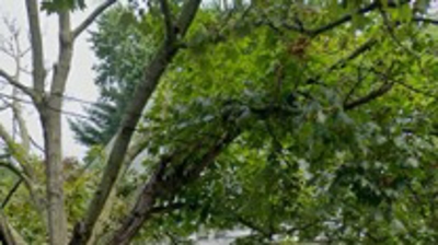 Home in Mendham, NJ Photo