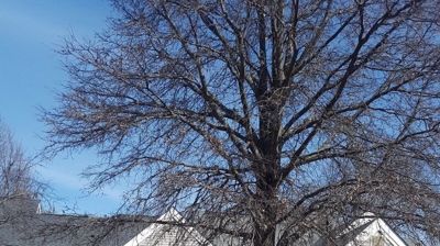 Home in Whitehouse Station Photo